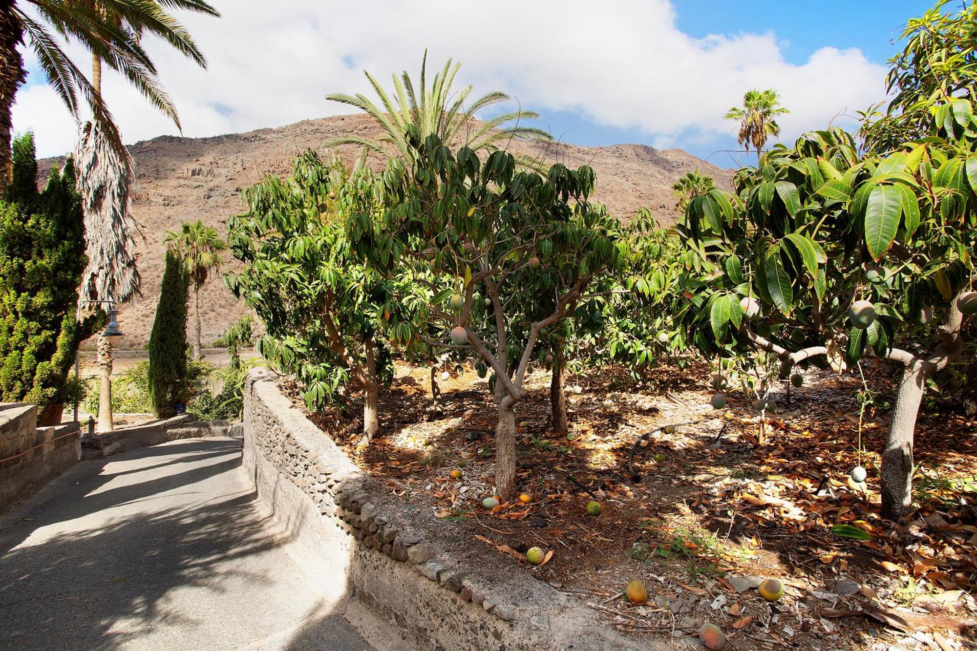 Paraiso Del Molinero Bajo Mogan Luaran gambar